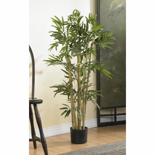 3ft. Potted Bambusa Bamboo Tree